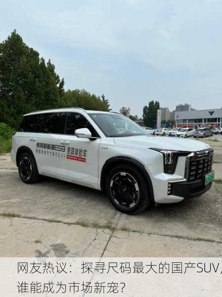 网友热议：探寻尺码最大的国产SUV，谁能成为市场新宠？