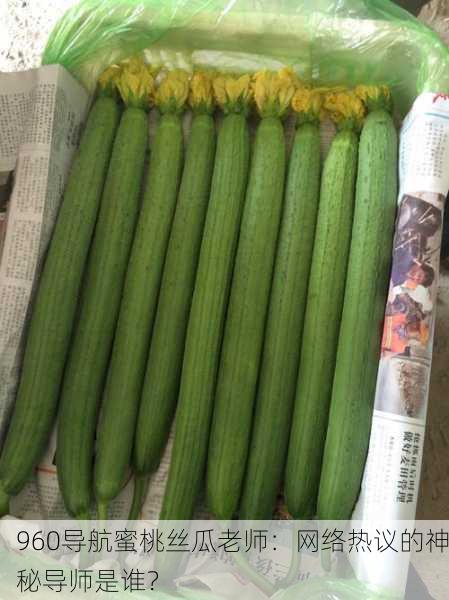 960导航蜜桃丝瓜老师：网络热议的神秘导师是谁？
