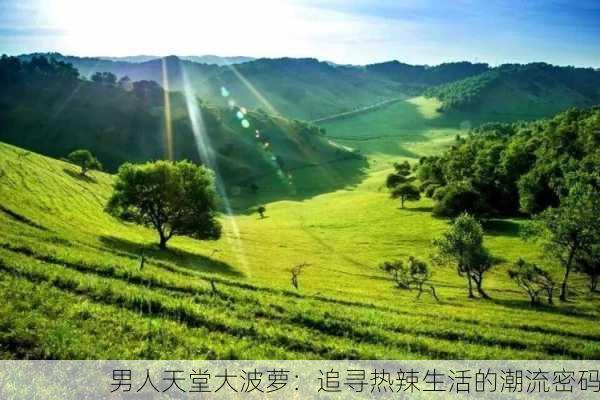 男人天堂大波萝：追寻热辣生活的潮流密码