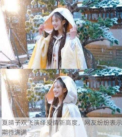 夏晴子双飞演绎爱情新高度，网友纷纷表示期待满满