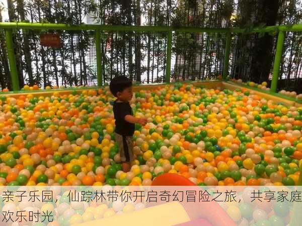 亲子乐园，仙踪林带你开启奇幻冒险之旅，共享家庭欢乐时光