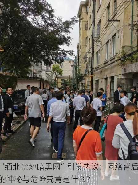 “缅北禁地暗黑网”引发热议：网络背后的神秘与危险究竟是什么？