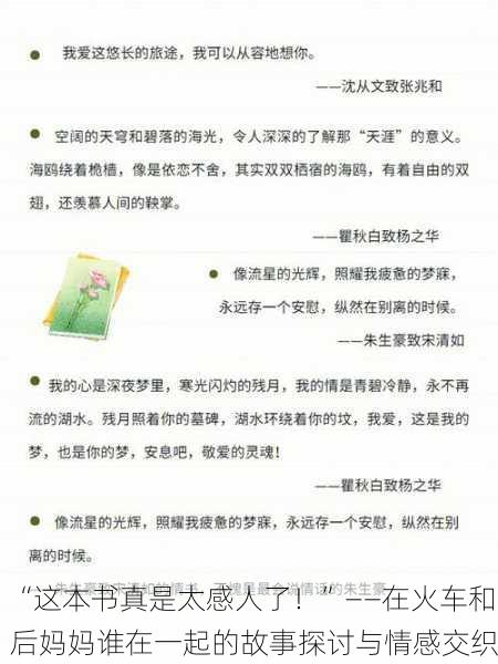 “这本书真是太感人了！”——在火车和后妈妈谁在一起的故事探讨与情感交织