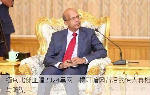 缅甸北部血腥2024黑网：揭开暗网背后的惊人真相与阴谋