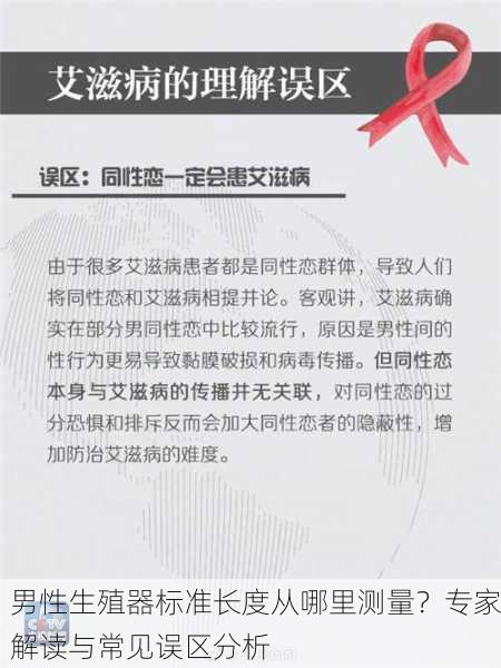 男性生殖器标准长度从哪里测量？专家解读与常见误区分析