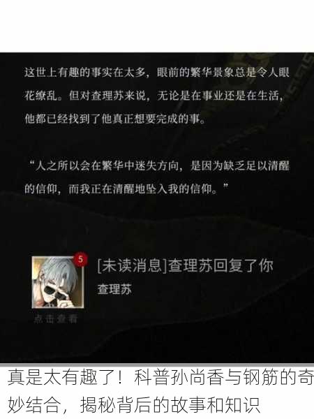 真是太有趣了！科普孙尚香与钢筋的奇妙结合，揭秘背后的故事和知识