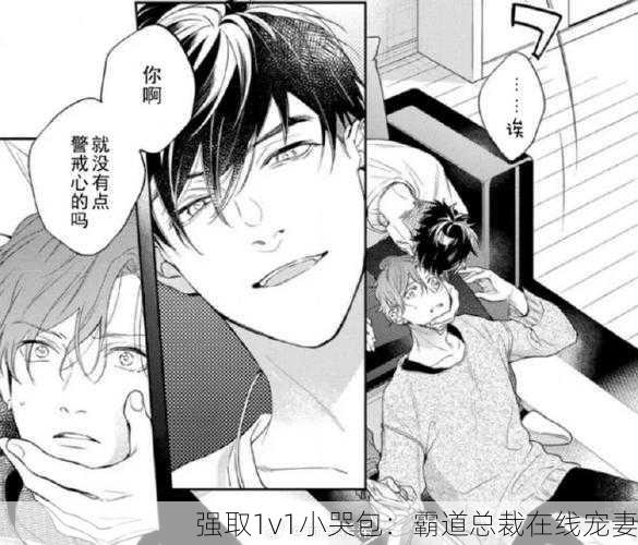 强取1v1小哭包：霸道总裁在线宠妻