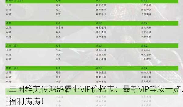 三国群英传鸿鹄霸业VIP价格表：最新VIP等级一览，福利满满！