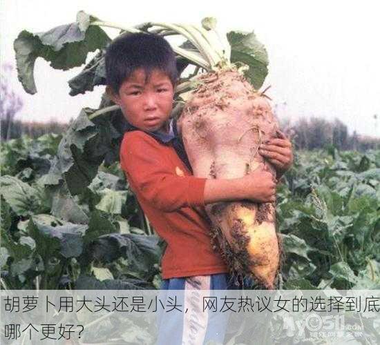 胡萝卜用大头还是小头，网友热议女的选择到底哪个更好？