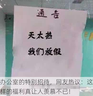 办公室的特别招待，网友热议：这样的福利真让人羡慕不已！