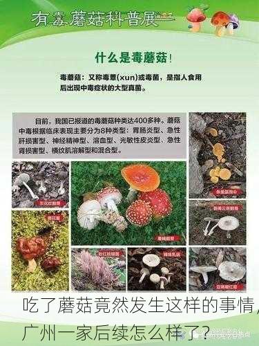 吃了蘑菇竟然发生这样的事情，广州一家后续怎么样了？