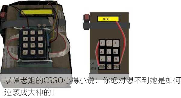 暴躁老姐的CSGO心得小说：你绝对想不到她是如何逆袭成大神的！
