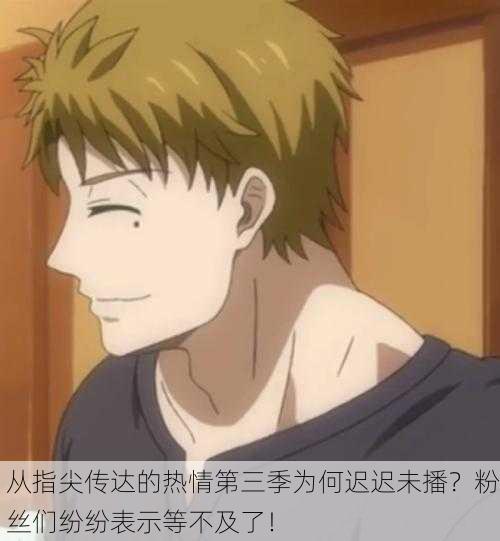 从指尖传达的热情第三季为何迟迟未播？粉丝们纷纷表示等不及了！
