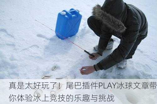 真是太好玩了！尾巴插件PLAY冰球文章带你体验冰上竞技的乐趣与挑战