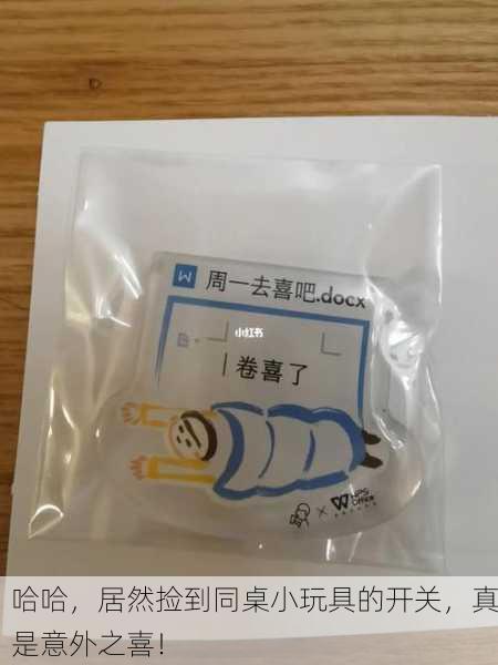 哈哈，居然捡到同桌小玩具的开关，真是意外之喜！