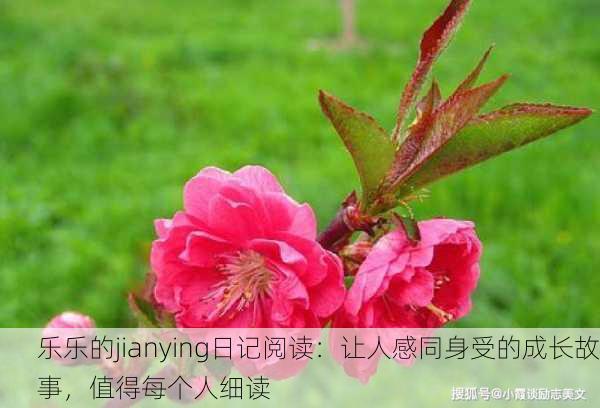 乐乐的jianying日记阅读：让人感同身受的成长故事，值得每个人细读