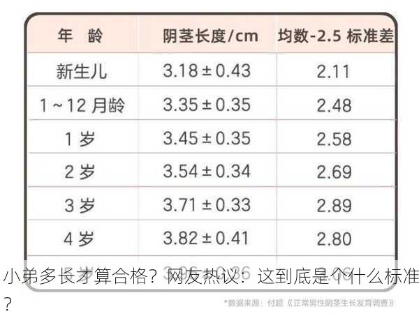 小弟多长才算合格？网友热议：这到底是个什么标准？