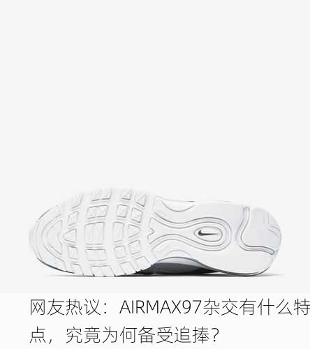 网友热议：AIRMAX97杂交有什么特点，究竟为何备受追捧？