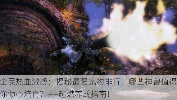 全民热血激战：揭秘最强宠物排行，哪些神兽值得你倾心培育？——超燃养成指南！