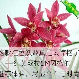 这款红色妖姬真是太惊艳了！——红黄双拉SM风格的魅惑体验，尽显个性与时尚