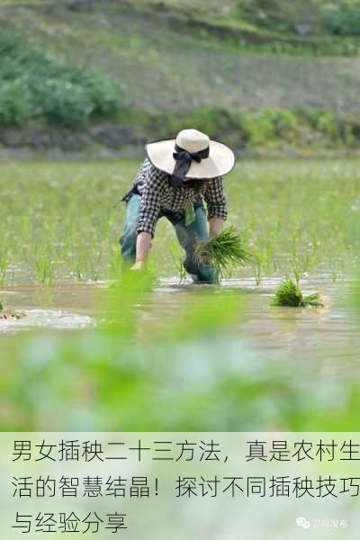 男女插秧二十三方法，真是农村生活的智慧结晶！探讨不同插秧技巧与经验分享