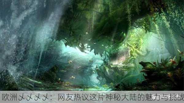 欧洲乄乄乄乄：网友热议这片神秘大陆的魅力与挑战