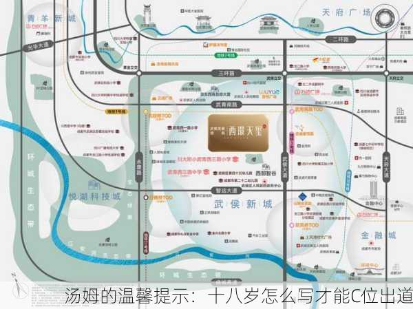 汤姆的温馨提示：十八岁怎么写才能C位出道