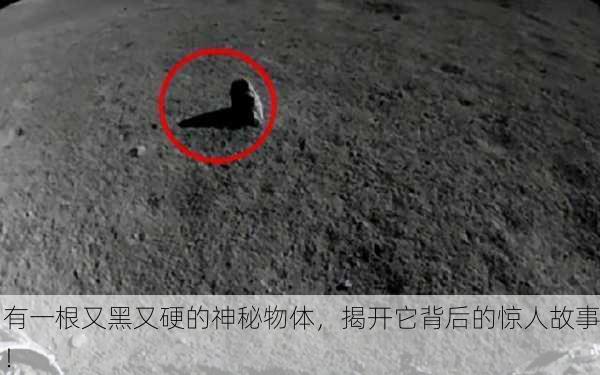 有一根又黑又硬的神秘物体，揭开它背后的惊人故事！