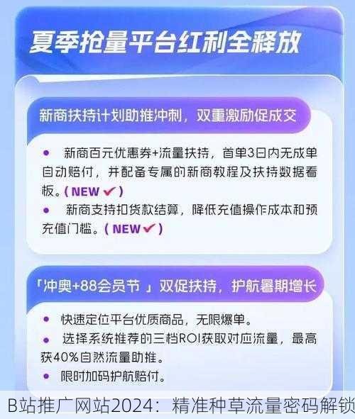 B站推广网站2024：精准种草流量密码解锁
