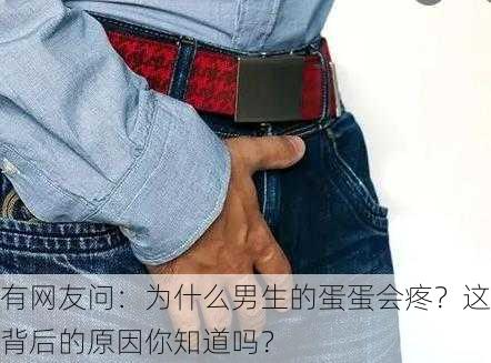 有网友问：为什么男生的蛋蛋会疼？这背后的原因你知道吗？
