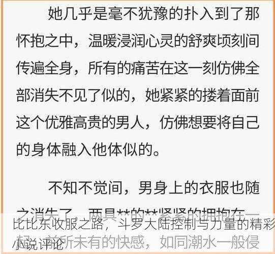 比比东收服之路，斗罗大陆控制与力量的精彩小说评论