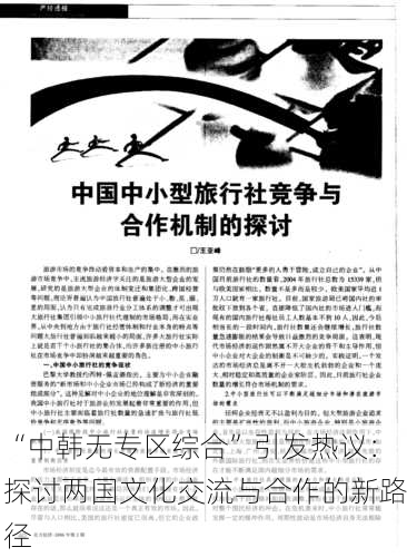 “中韩无专区综合”引发热议：探讨两国文化交流与合作的新路径