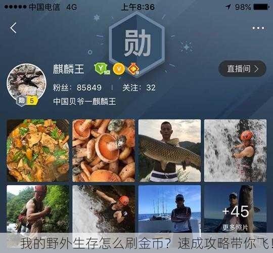 我的野外生存怎么刷金币？速成攻略带你飞！