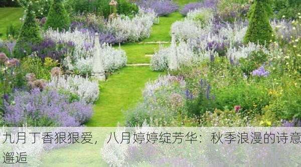 九月丁香狠狠爱，八月婷婷绽芳华：秋季浪漫的诗意邂逅