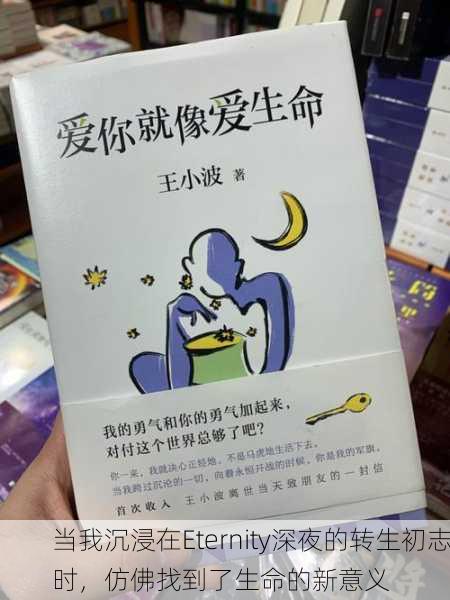 当我沉浸在Eternity深夜的转生初志时，仿佛找到了生命的新意义