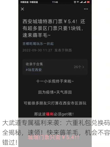 大武道专属福利来袭：六重礼包兑换码全揭秘，速领！快来薅羊毛，机会不容错过！