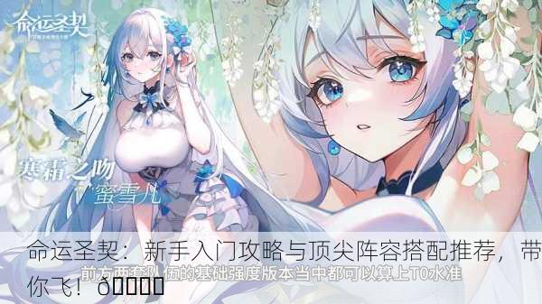 命运圣契：新手入门攻略与顶尖阵容搭配推荐，带你飞！🌟✨