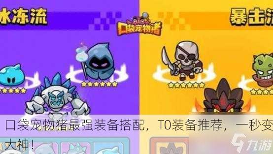 口袋宠物猪最强装备搭配，T0装备推荐，一秒变大神！