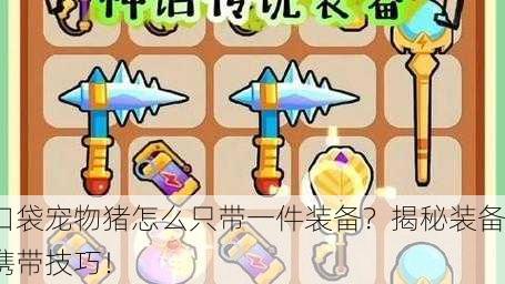 口袋宠物猪怎么只带一件装备？揭秘装备携带技巧！