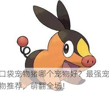 口袋宠物猪哪个宠物好？最强宠物推荐，萌翻全场！