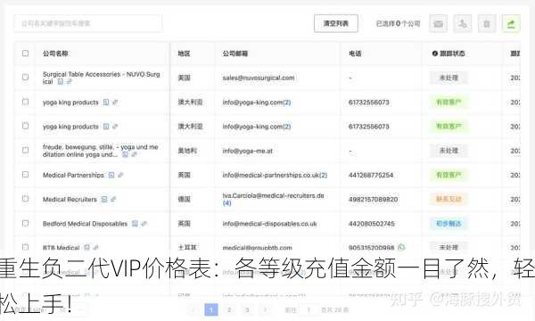 重生负二代VIP价格表：各等级充值金额一目了然，轻松上手！