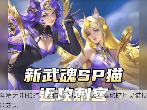 斗罗大陆H5暗月灵猫融合技是什么？揭秘暗月灵猫技能效果！