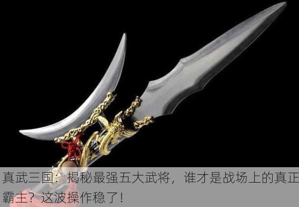 真武三国：揭秘最强五大武将，谁才是战场上的真正霸主？这波操作稳了！