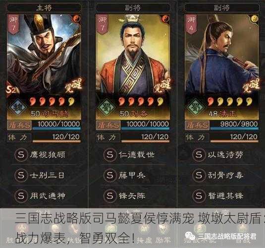 三国志战略版司马懿夏侯惇满宠 墩墩太尉盾：战力爆表，智勇双全！