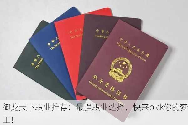 御龙天下职业推荐：最强职业选择，快来pick你的梦工！