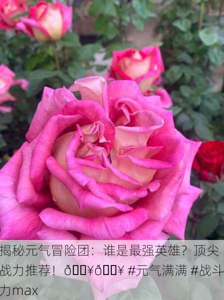 揭秘元气冒险团：谁是最强英雄？顶尖战力推荐！🔥💥 #元气满满 #战斗力max