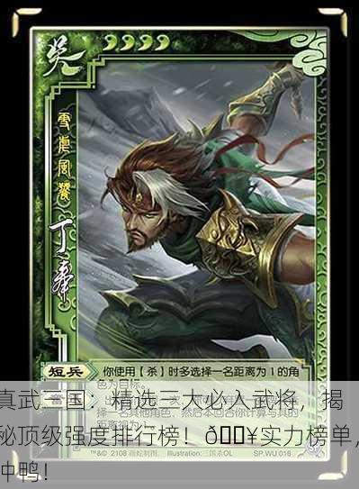 真武三国：精选三大必入武将，揭秘顶级强度排行榜！🔥实力榜单，冲鸭！