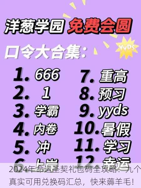 2024年命运圣契礼包码全攻略：九个真实可用兑换码汇总，快来薅羊毛！