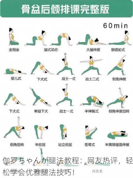 伽罗ちゃんが腿法教程：网友热评，轻松学会优雅腿法技巧！