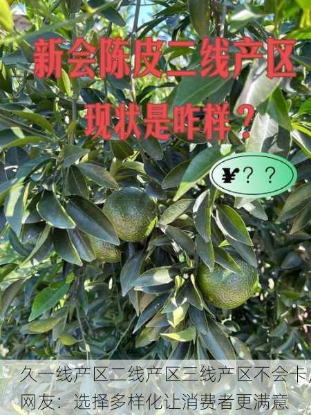 久一线产区二线产区三线产区不会卡，网友：选择多样化让消费者更满意